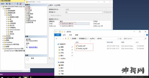 远程服务器数据库文件拷贝技巧 使用SQL Server Management Studio高效导出与导入数据