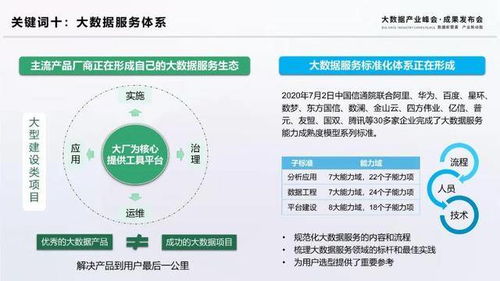 揭秘2020大数据十大关键词 引领计算机软件与数据处理服务新趋势